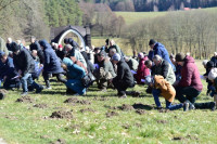 Wielkopostny dzień skupienia nadzwyczajnych szafarzy Komunii św., akolitów i diakonów. [15.03.2025 Gietrzwałd]